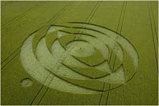 Photo d'un cropcircle