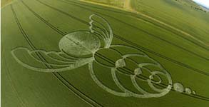 Photo d'un cropcircle